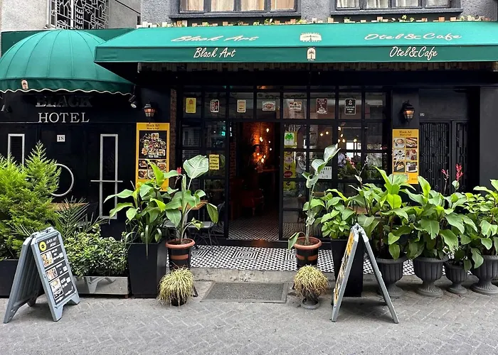Hotel Black Art Stambuł