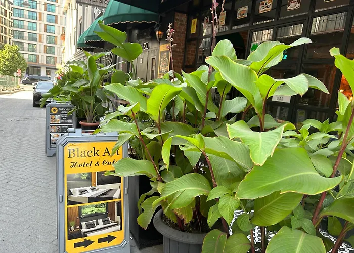 Black Art ホテル 5*